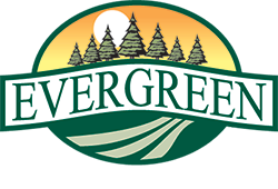 Evergreen At Timberglen